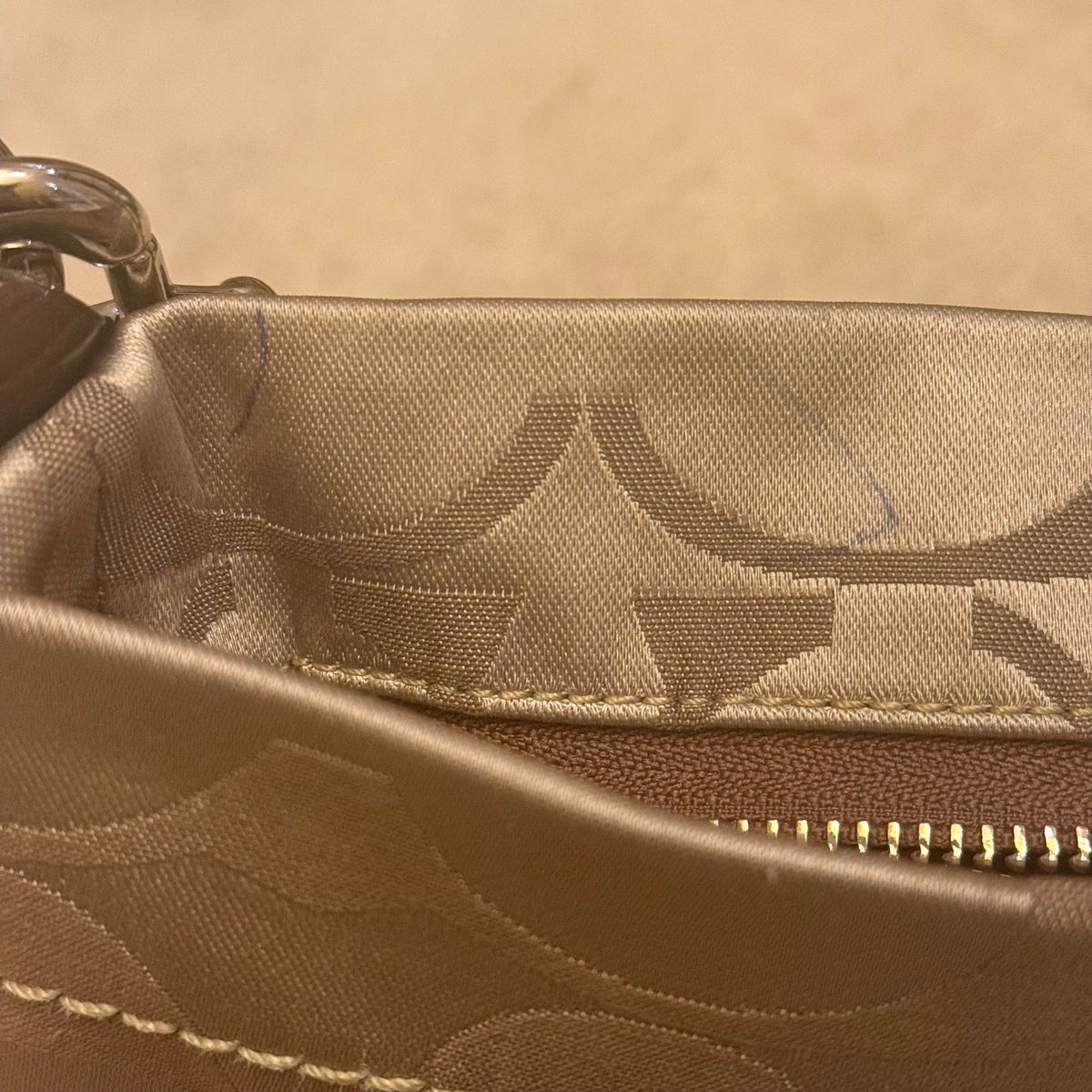 Coach Signature Carly Hobo Bag