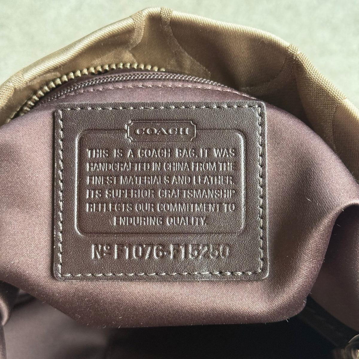 Coach Signature Carly Hobo Bag