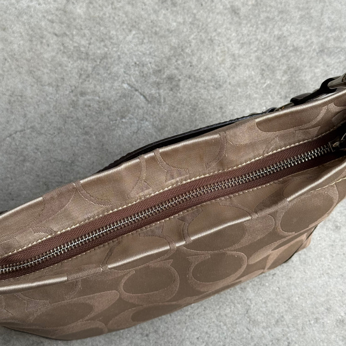 Coach Signature Carly Hobo Bag