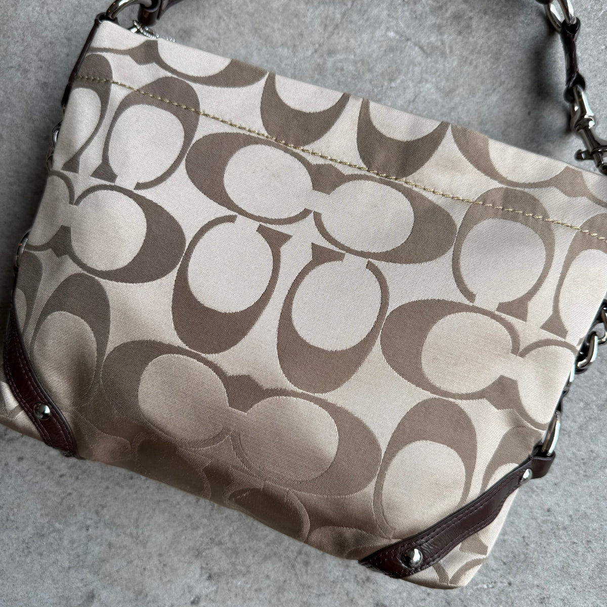 Coach Signature Carly Hobo Bag
